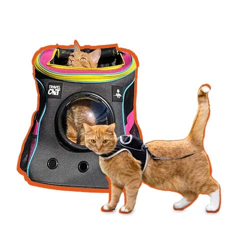 Cat carrier harness best sale