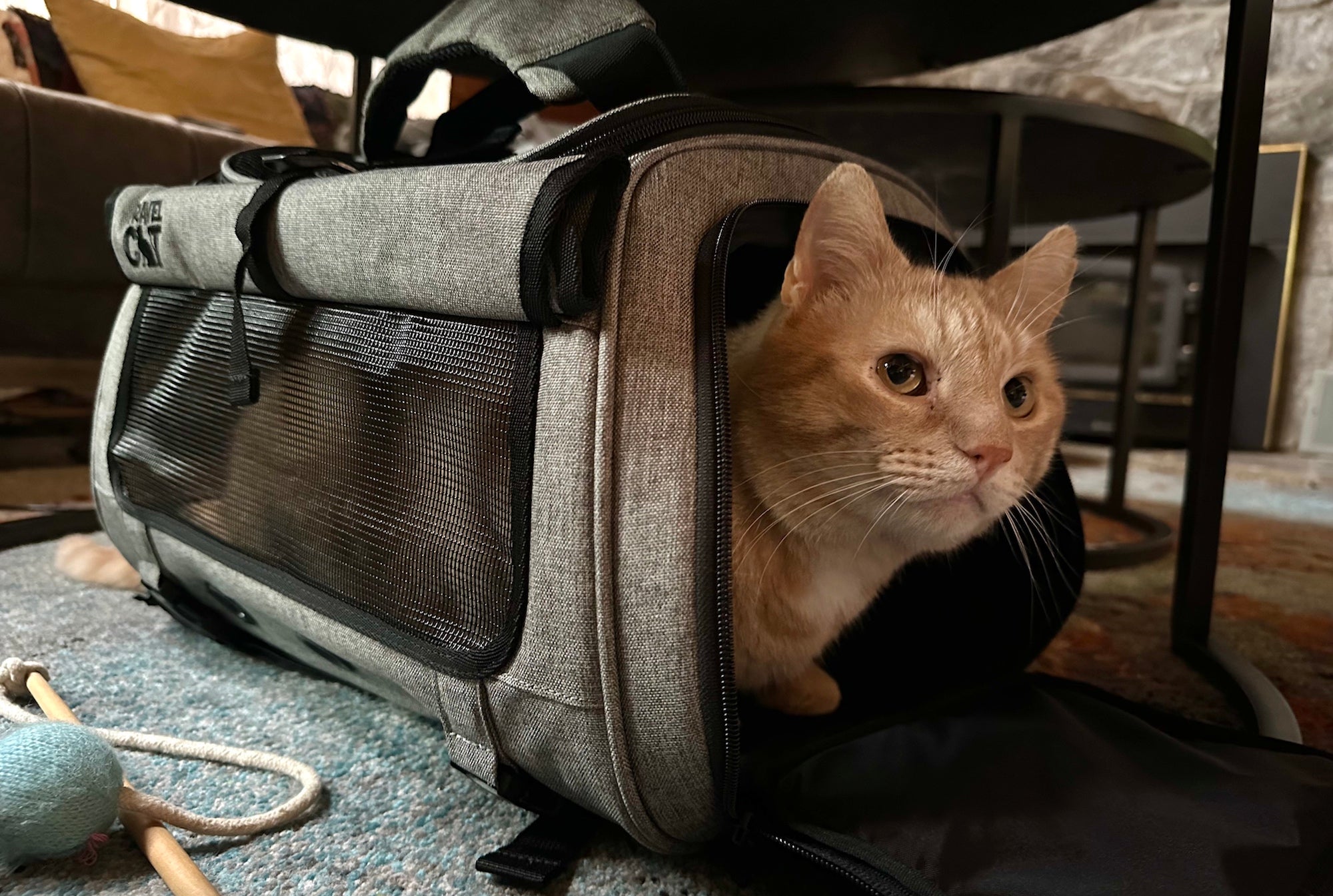 The Transpurrter Ultimate Calming Convertible Cat Carrier in Heather