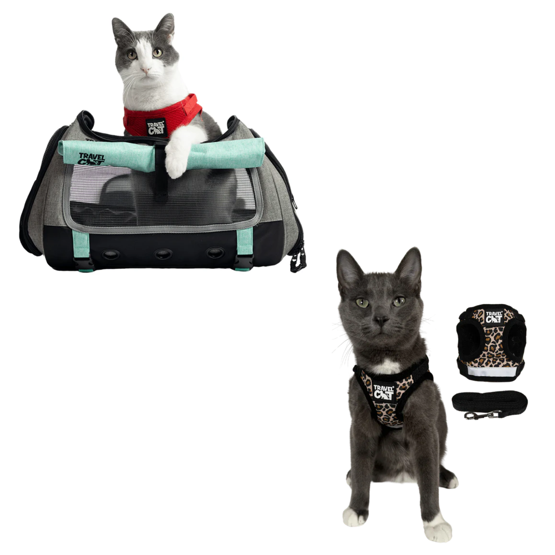 Build Your Own Cat Backpack and Harness Bundle