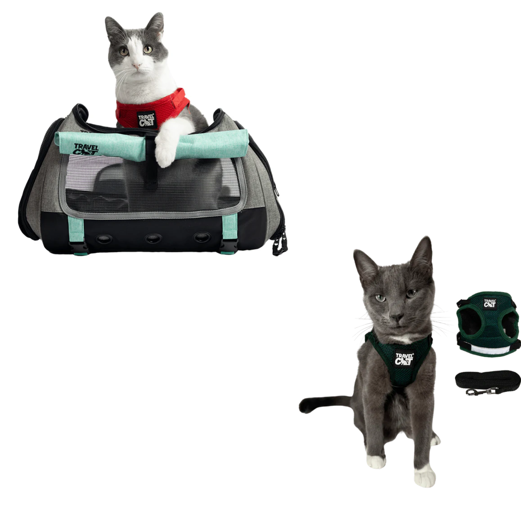 Build Your Own Cat Backpack and Harness Bundle