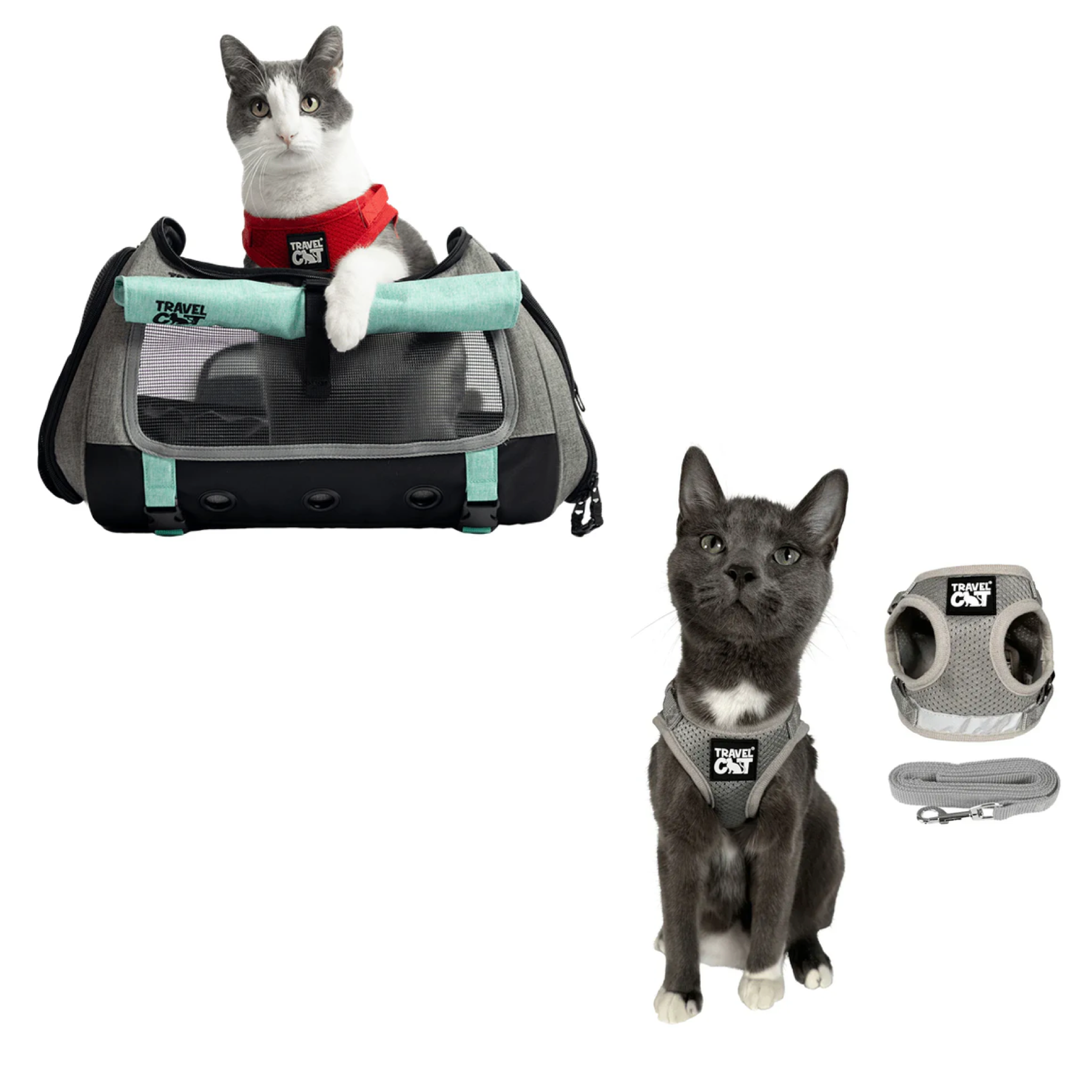 Build Your Own Cat Backpack and Harness Bundle