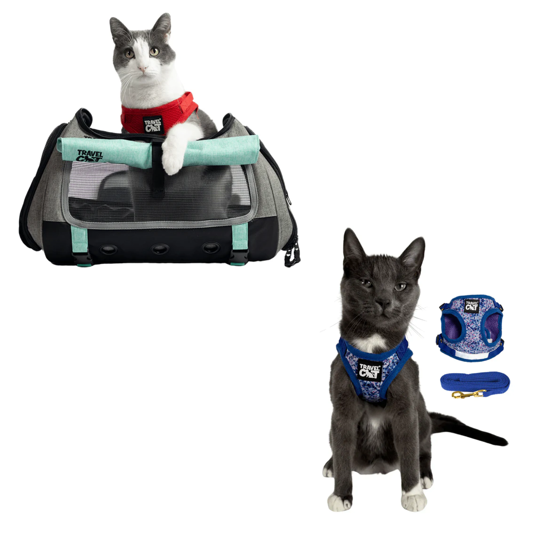 Build Your Own Cat Backpack and Harness Bundle