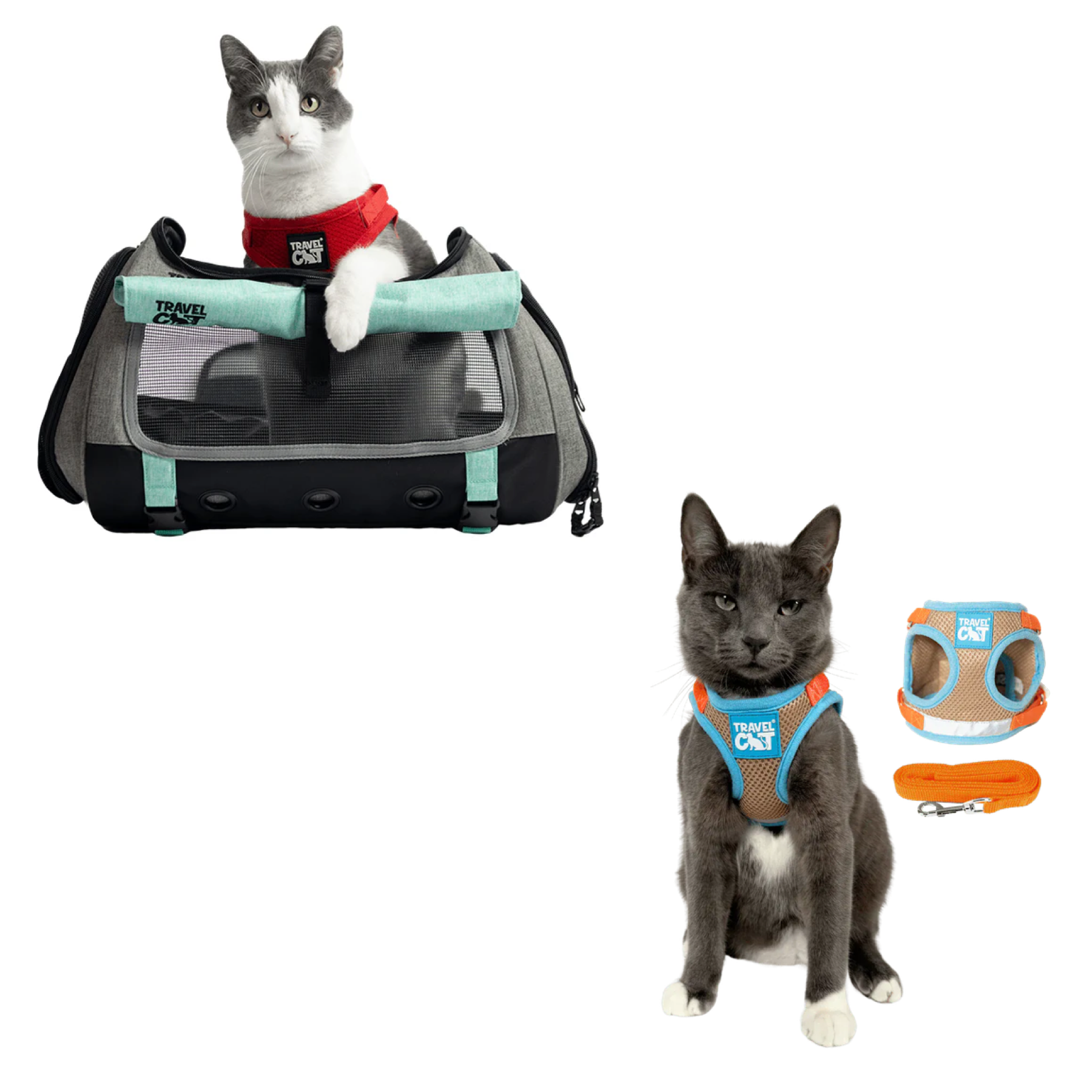 Build Your Own Cat Backpack and Harness Bundle