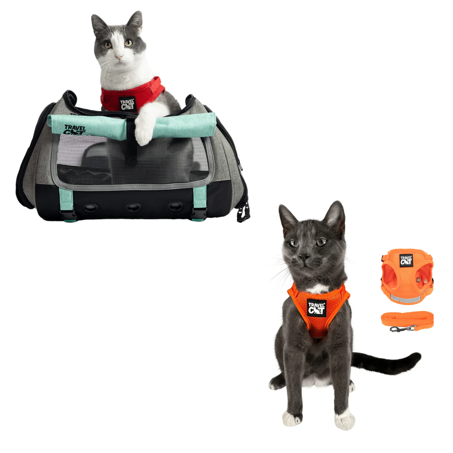 Build Your Own Cat Backpack and Harness Bundle