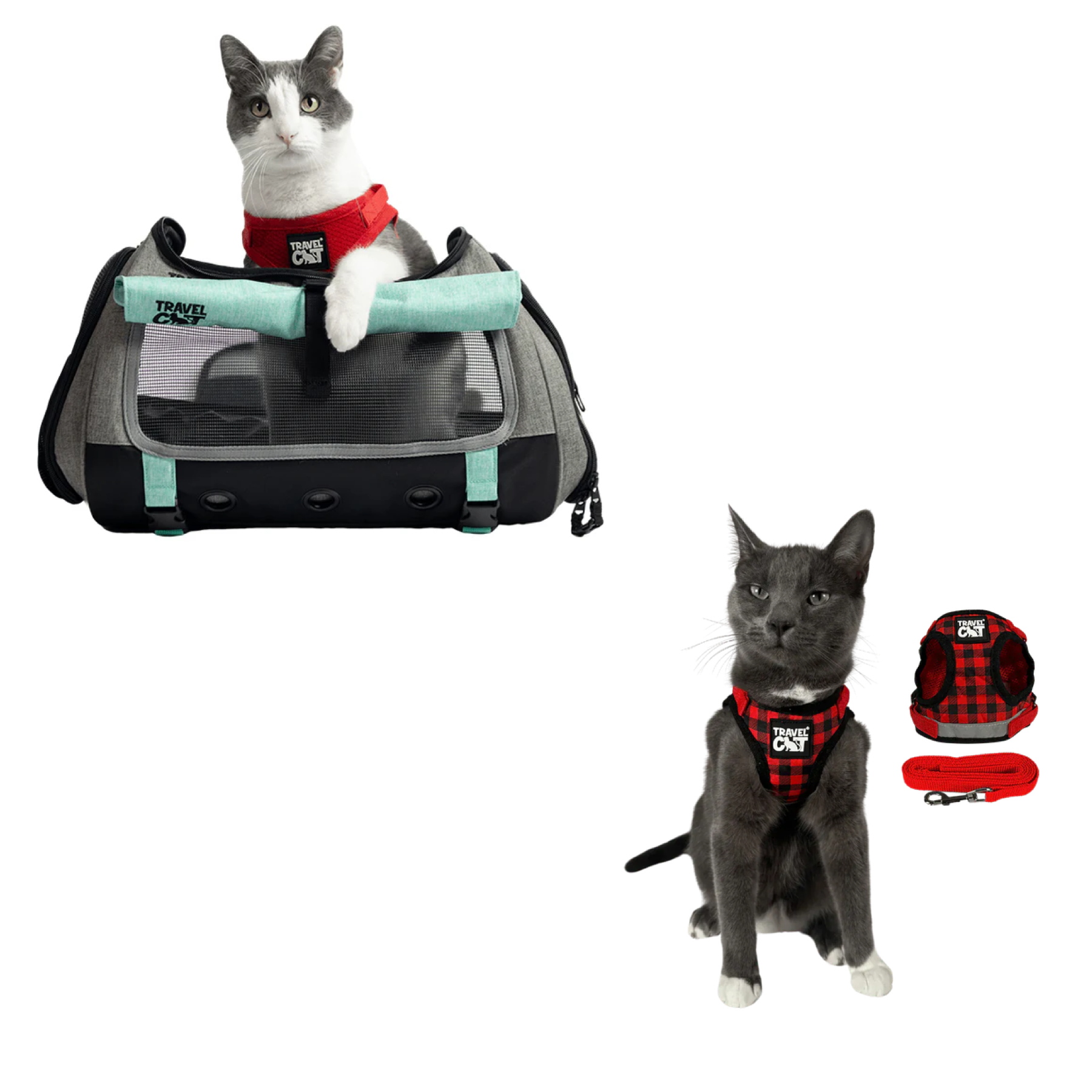 Build Your Own Cat Backpack and Harness Bundle