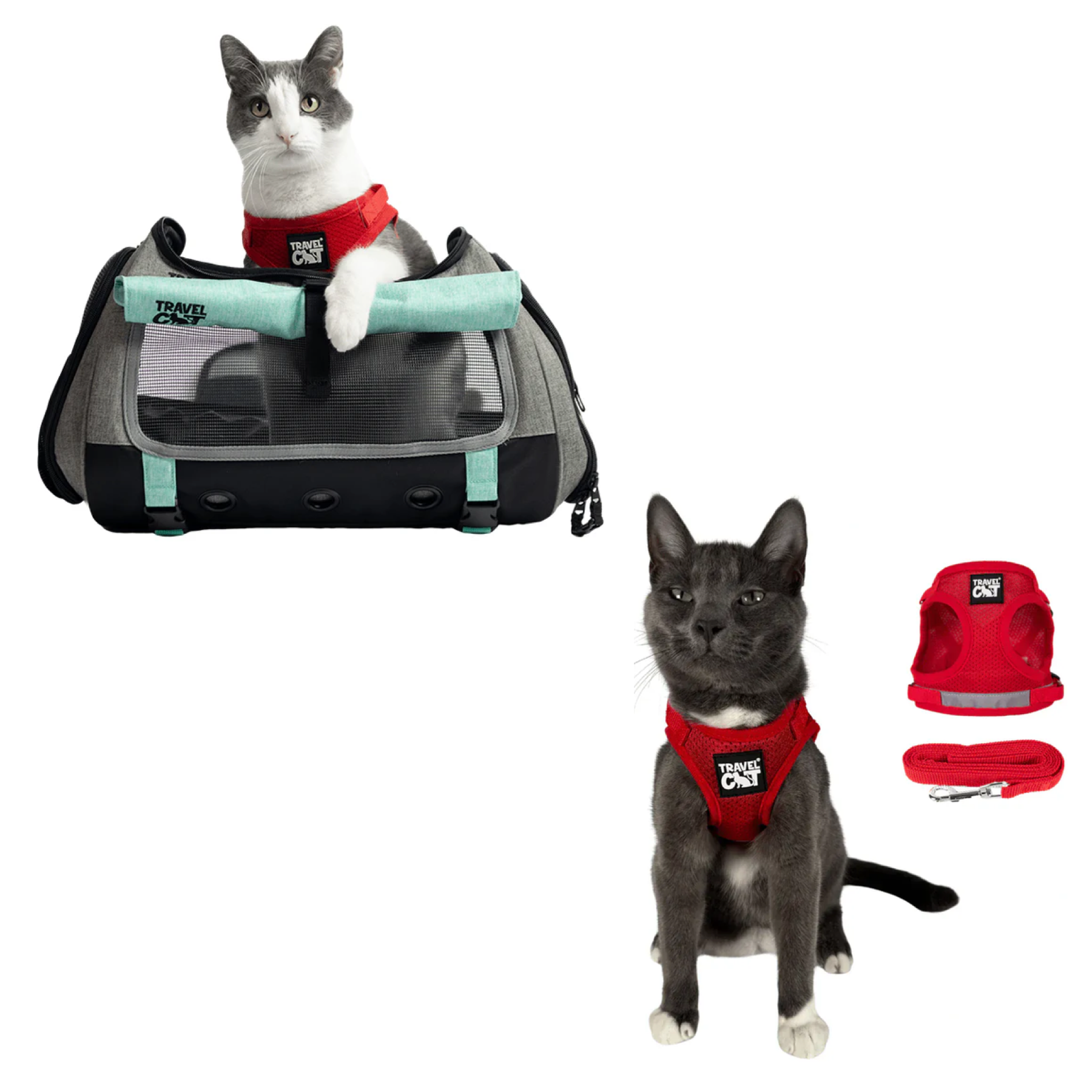 Build Your Own Cat Backpack and Harness Bundle