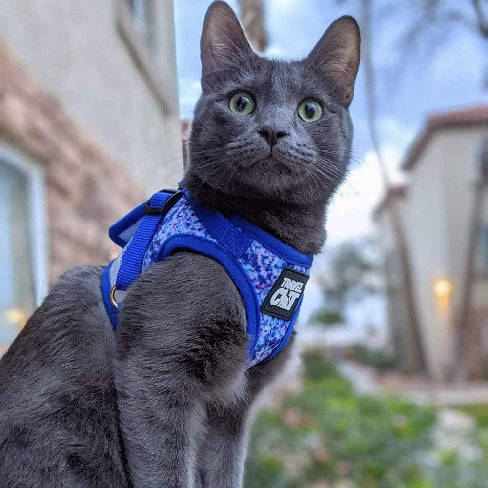 "The True Adventurer" Reflective Cat & Kitten Harness and Leash