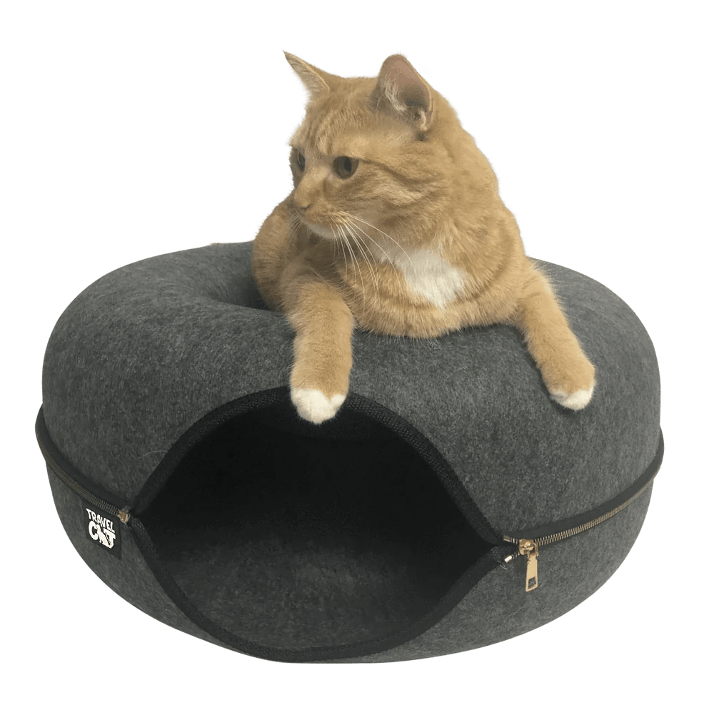 Hideaway cat bed best sale