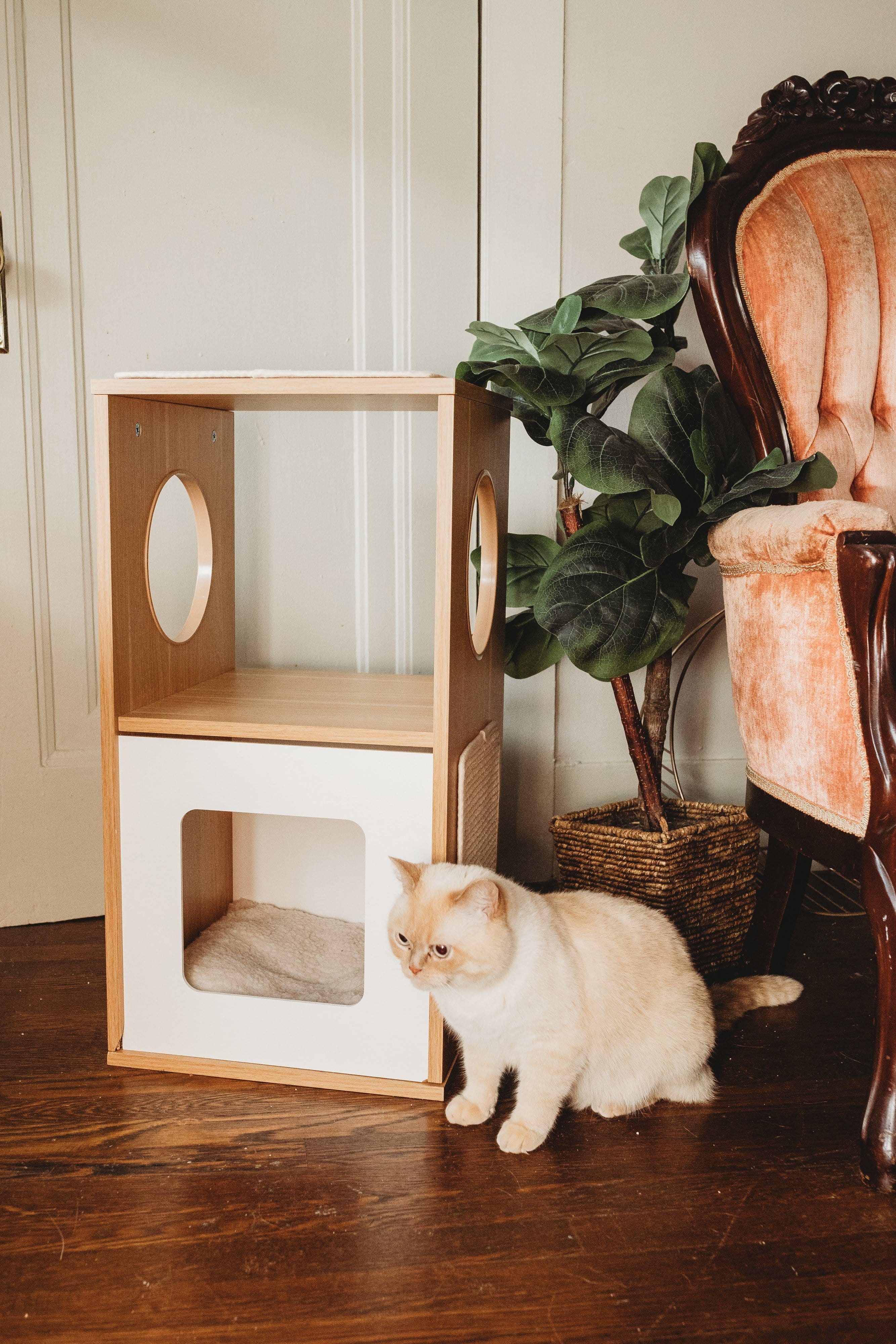 "The Cozy Hideaway" Cat Bed Shelf & Scratcher