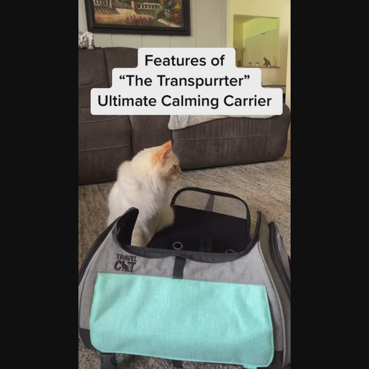 The Transpurrter Ultimate Calming Convertible Cat Carrier in Heather