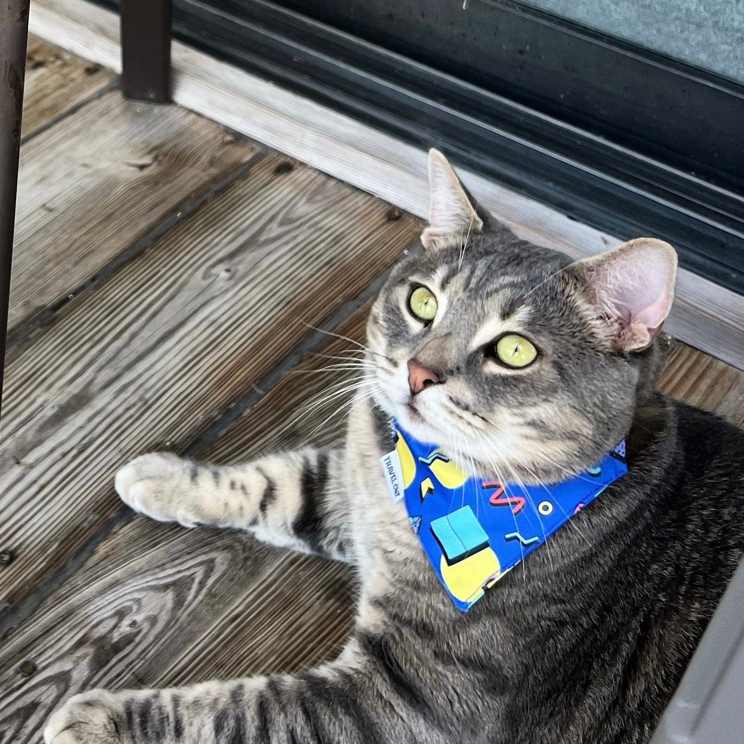 "The 90s Cat" Bandana & Collar