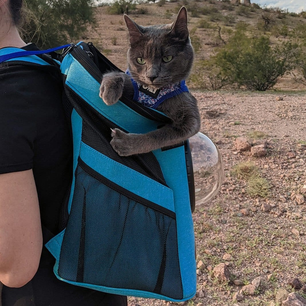 Blue store cat backpack