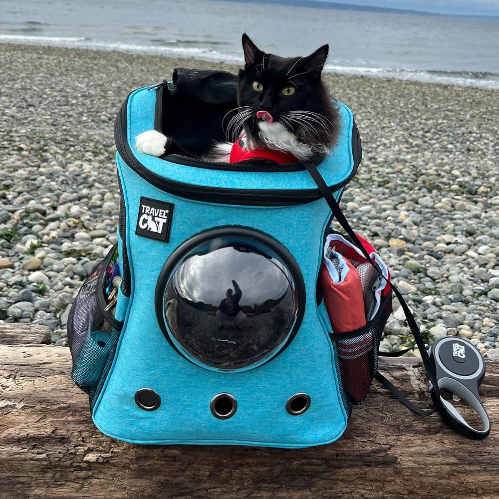 “The Fat Cat” Cat Backpack in Aqua - For Larger Cats