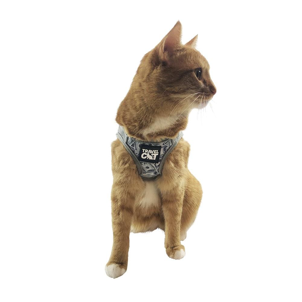 "Cash Cat" Limited Edition Harness & Leash Set