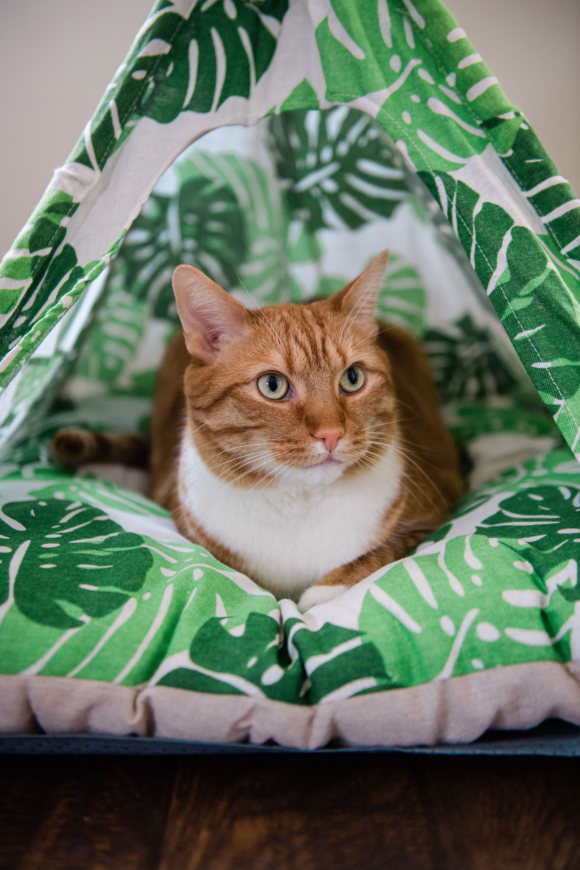 "The Teepee" Leafy Green Cat Yurt