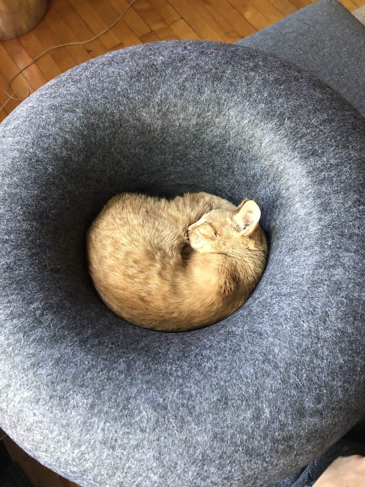 "The Cozy AF" Cat Bed Bundle