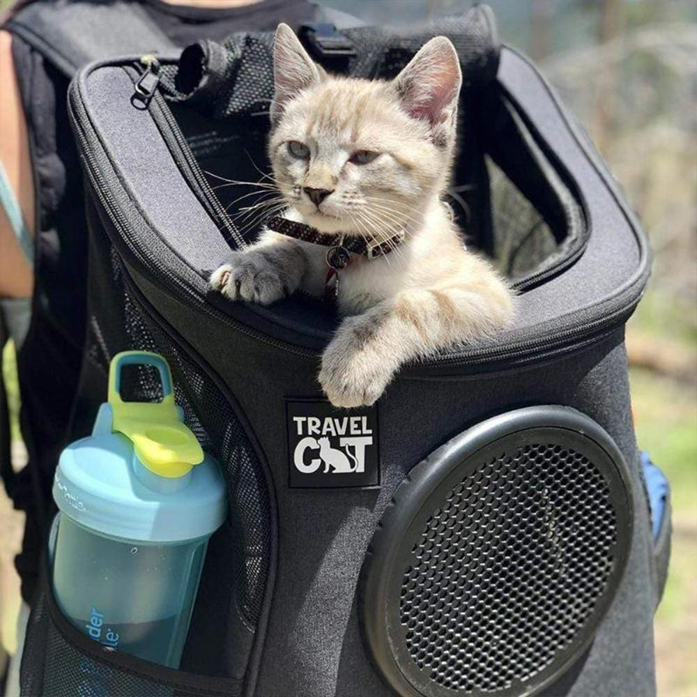 Large cat backpack sale