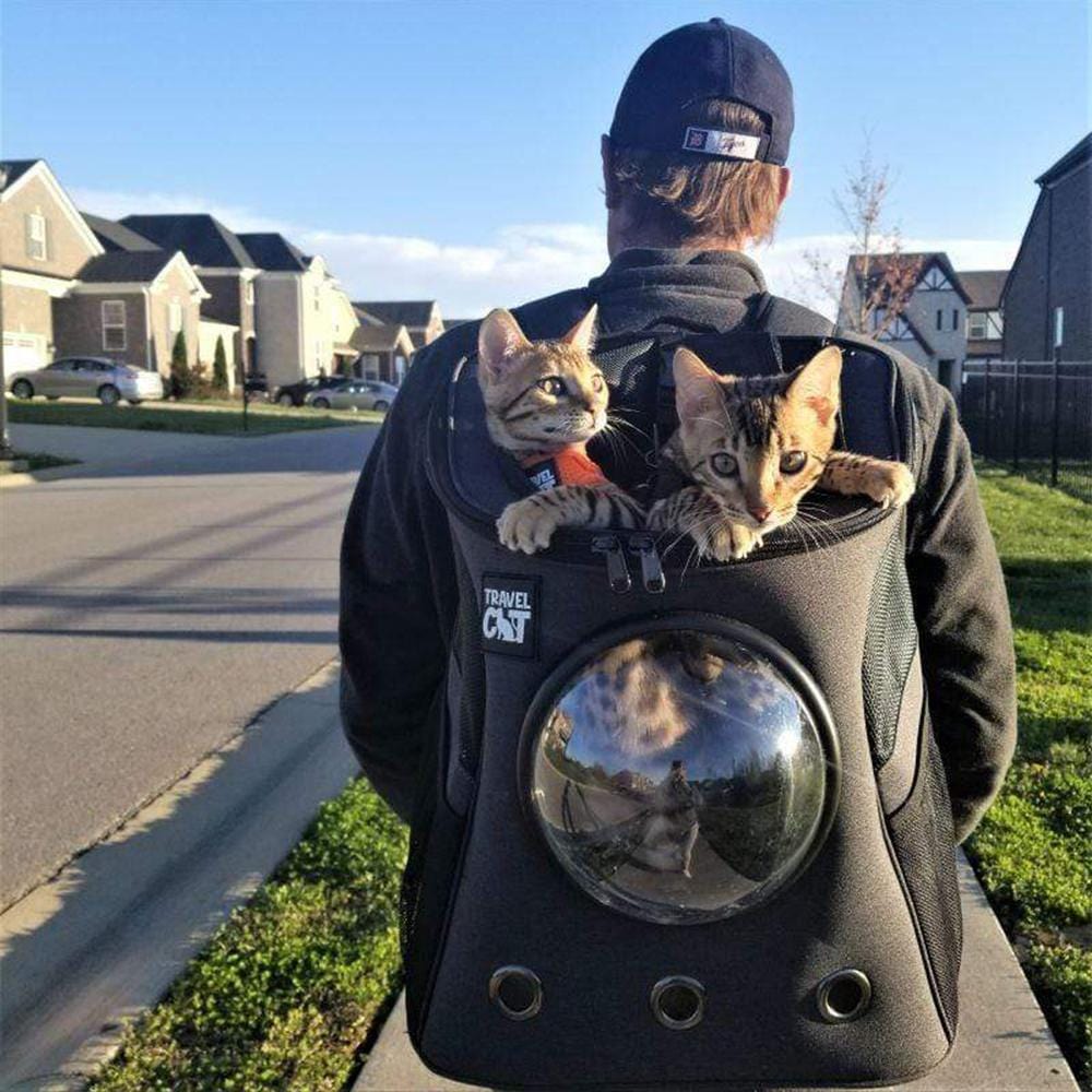 Travel cat deals backpack