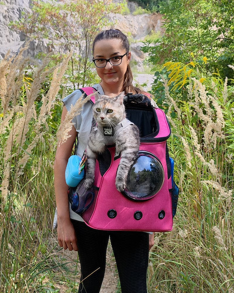 "The Fat Cat" Cat Backpack in Deep Rose Pink - For Larger Cats