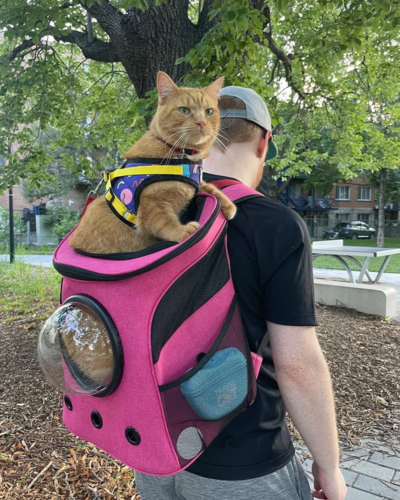 "The Fat Cat" Cat Backpack in Deep Rose Pink - For Larger Cats