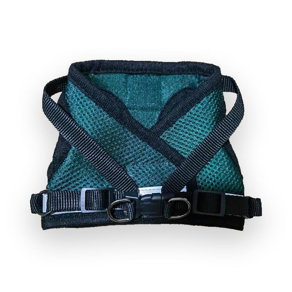 "The Emerald Explorer" Limited Edition Green Cat Harness