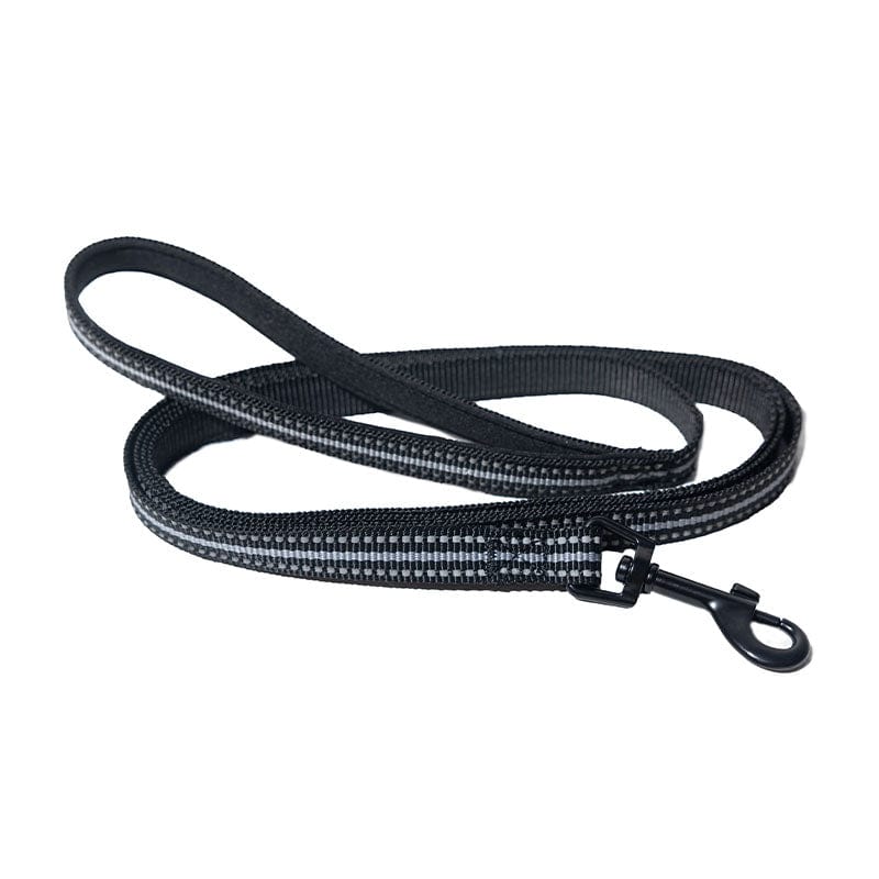 Stray x Travel Cat Harness & Leash Set Limited Edition Travel Cat