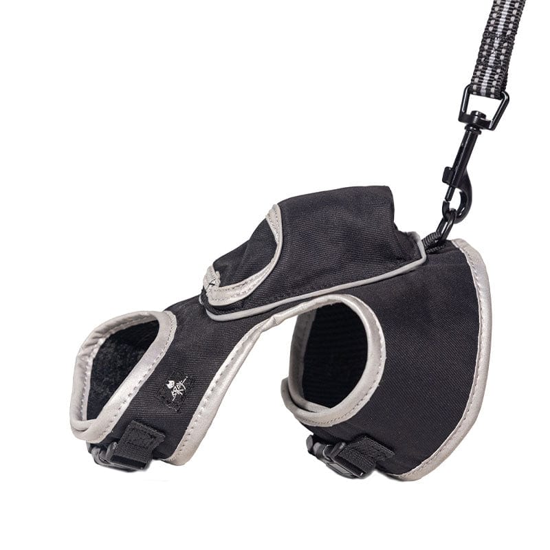 Stray x Travel Cat Harness & Leash Set - Limited Edition