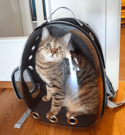 "The Voyager" Cat Backpack