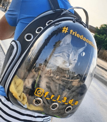 "The Voyager" Cat Backpack