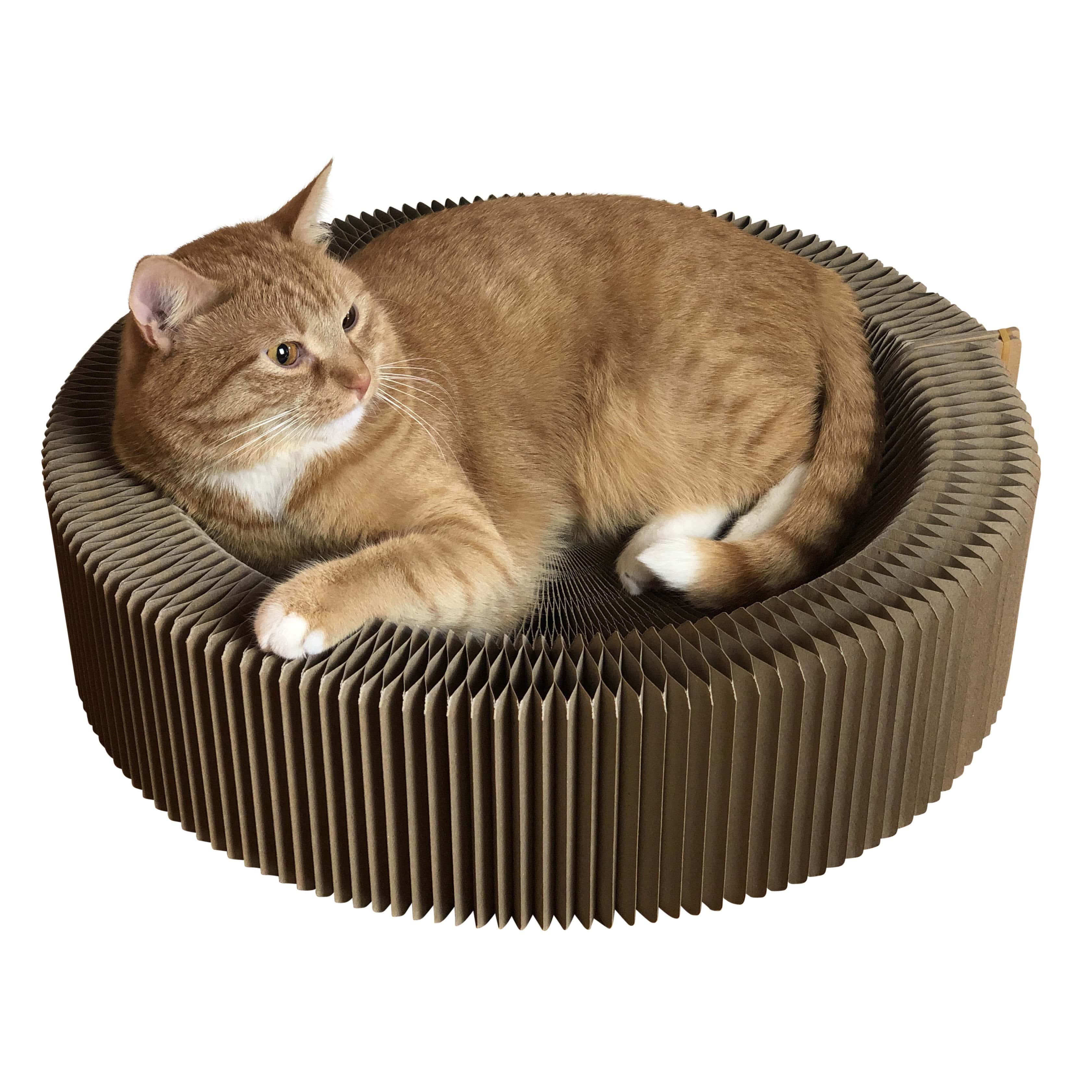 "The Accordion" Travel Cardboard Bed & Scratcher