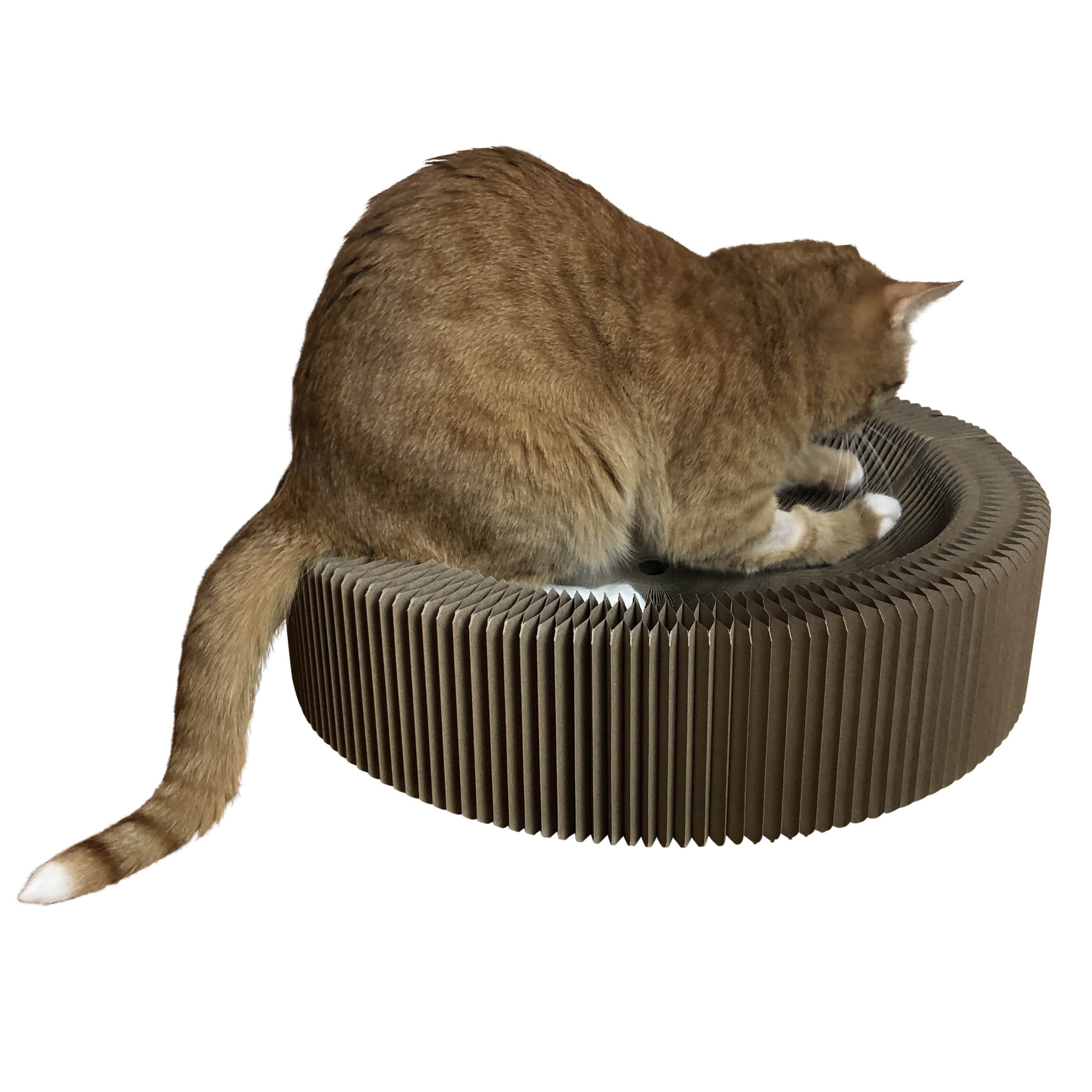 "The Accordion" Travel Cardboard Bed & Scratcher