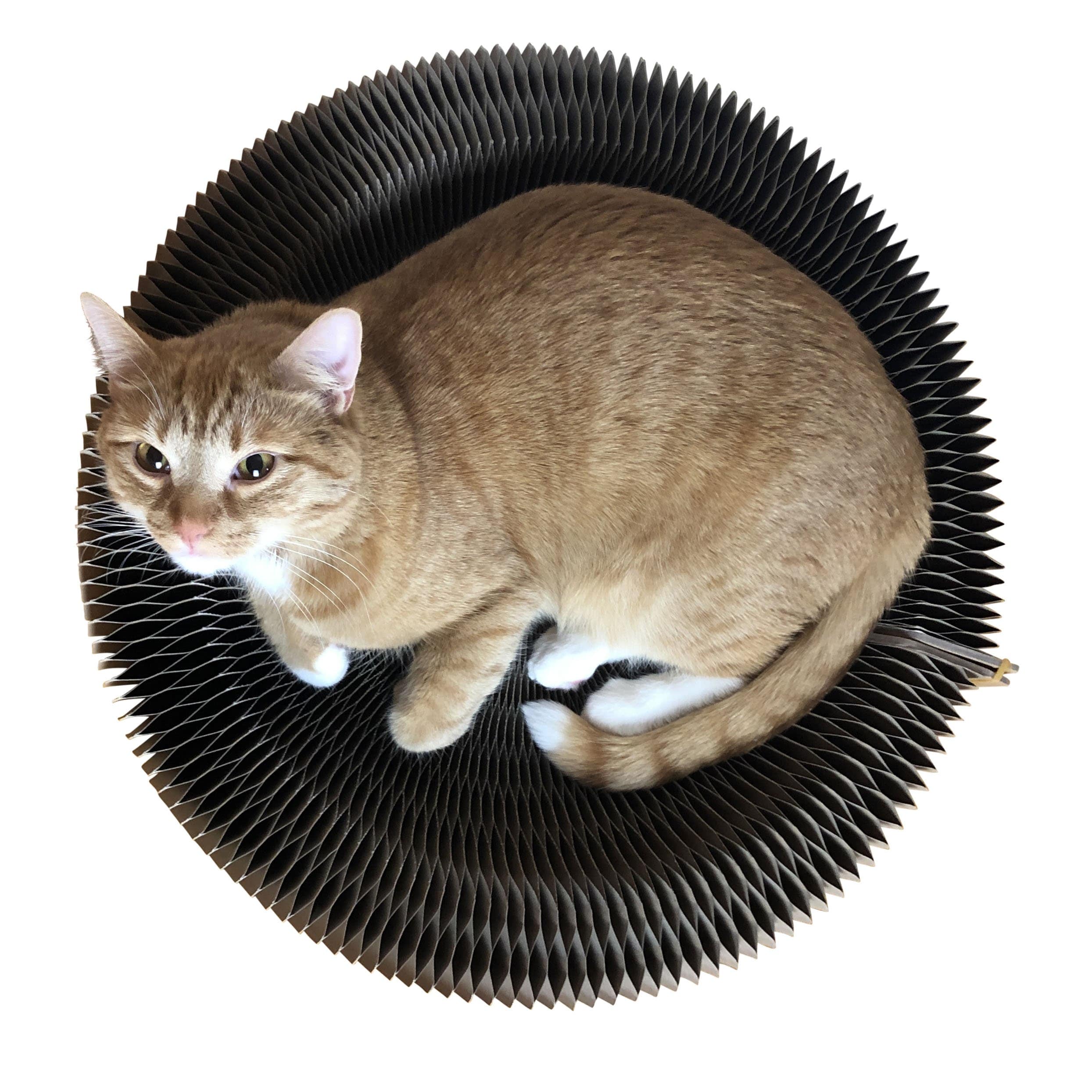 Collapsible shop cat scratcher