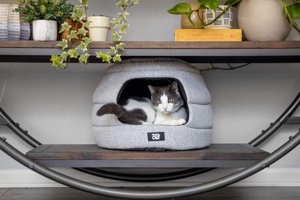 "The Cozy AF" Cat Bed Bundle