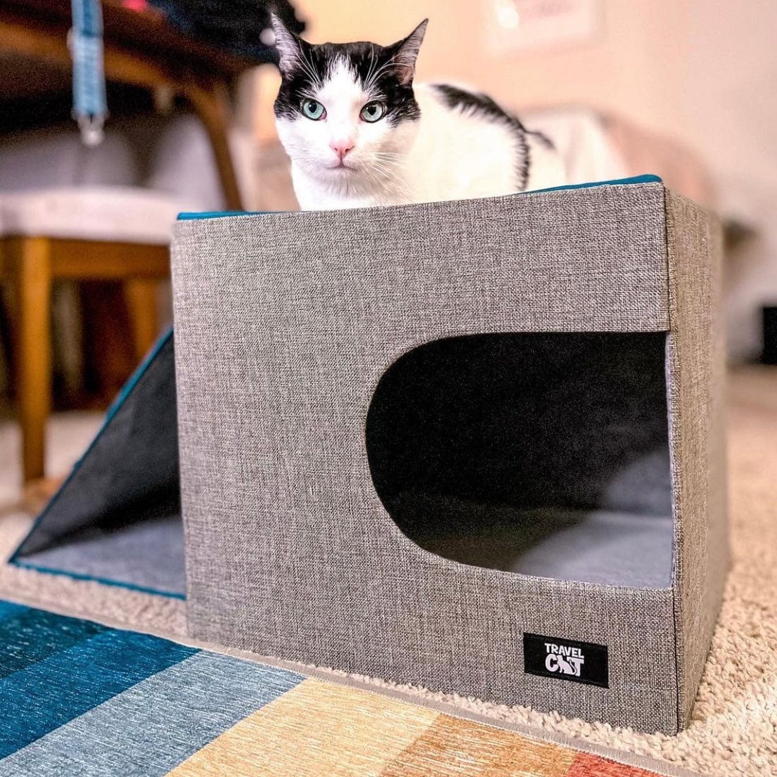 "The Cât-Teau" Collapsible Cat Condo & Scratcher Perfect Travel Bed