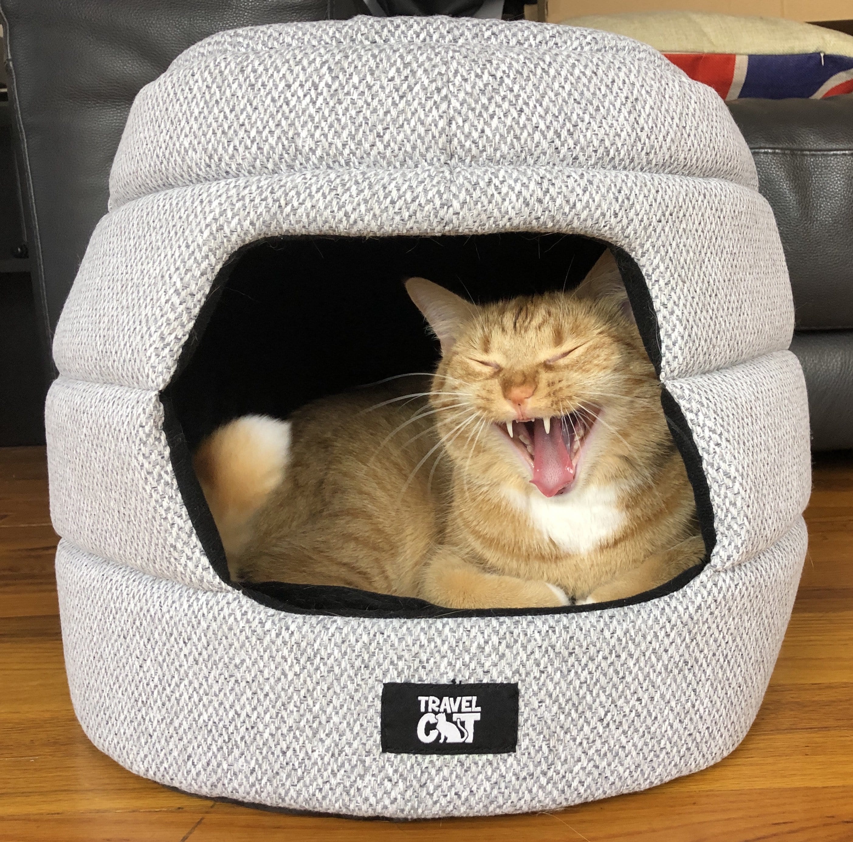 Cat carrier outlet and bed