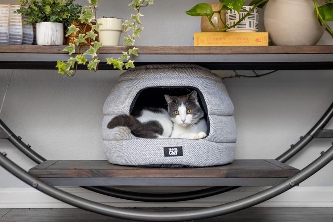 The Meowbile Home Convertible Cat Bed & Cave