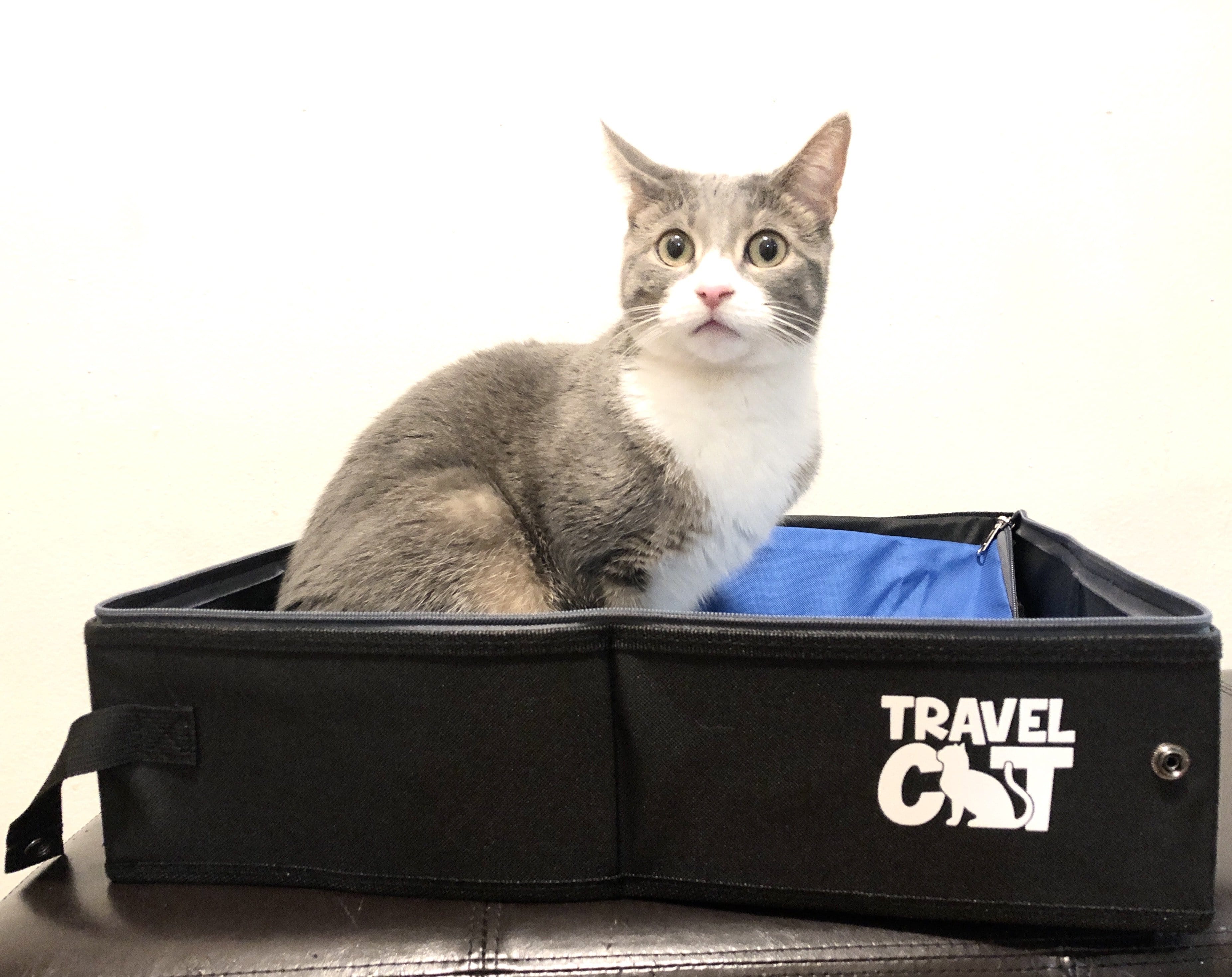 Foldable Cat Litter Box, Extra Large Cat Little Box