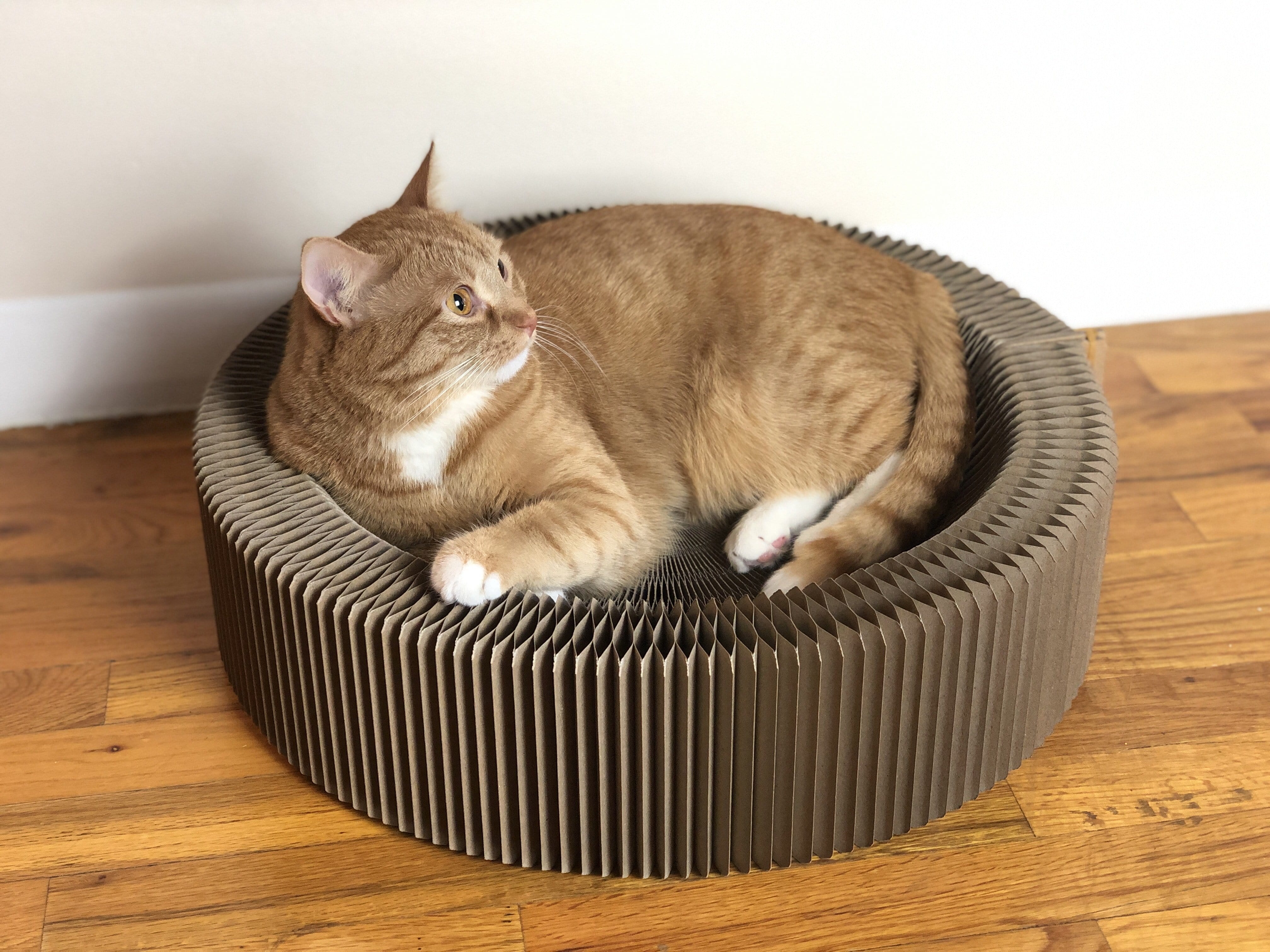"The Accordion" Travel Cardboard Bed & Scratcher
