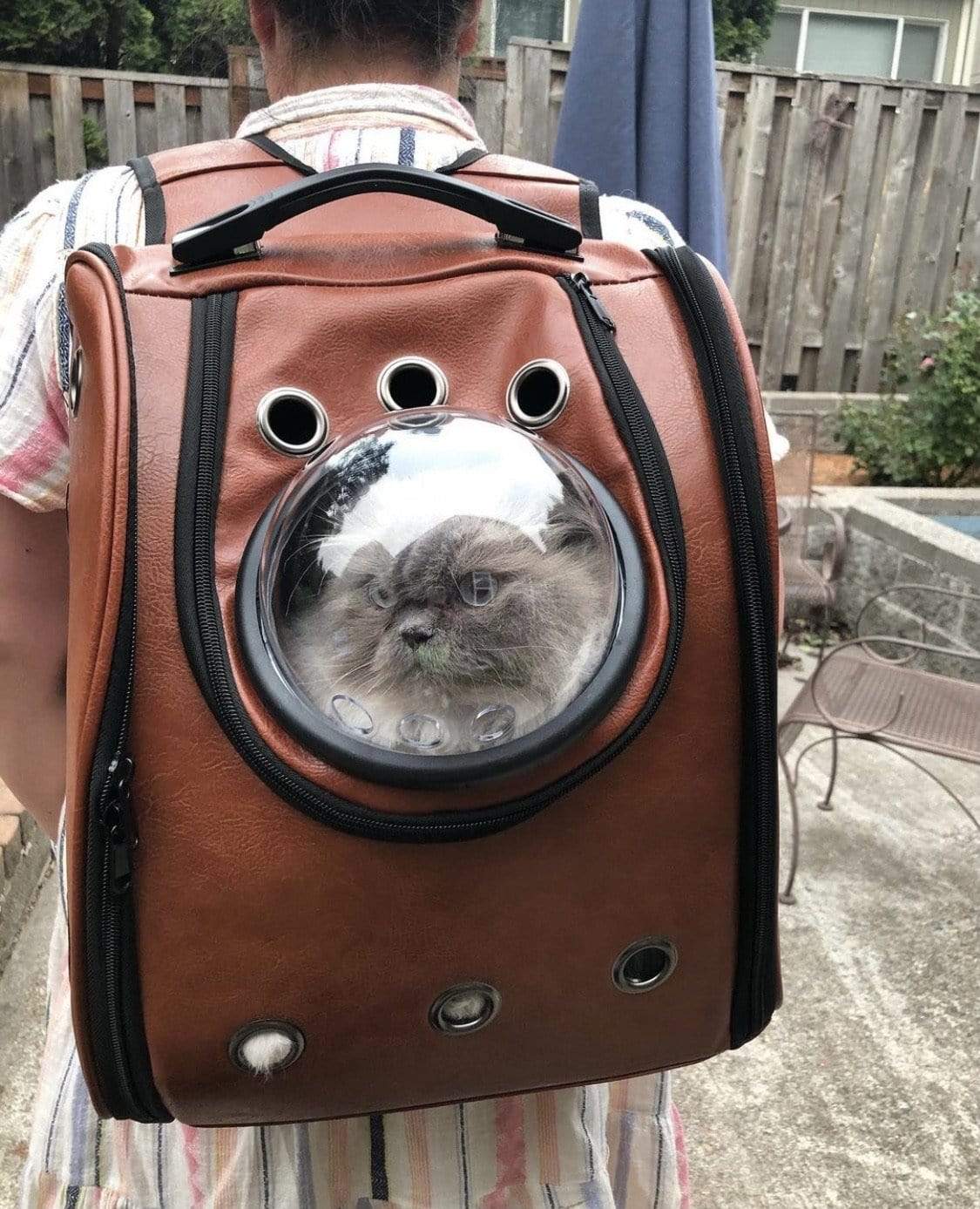 "The City Chic" Cat Backpack