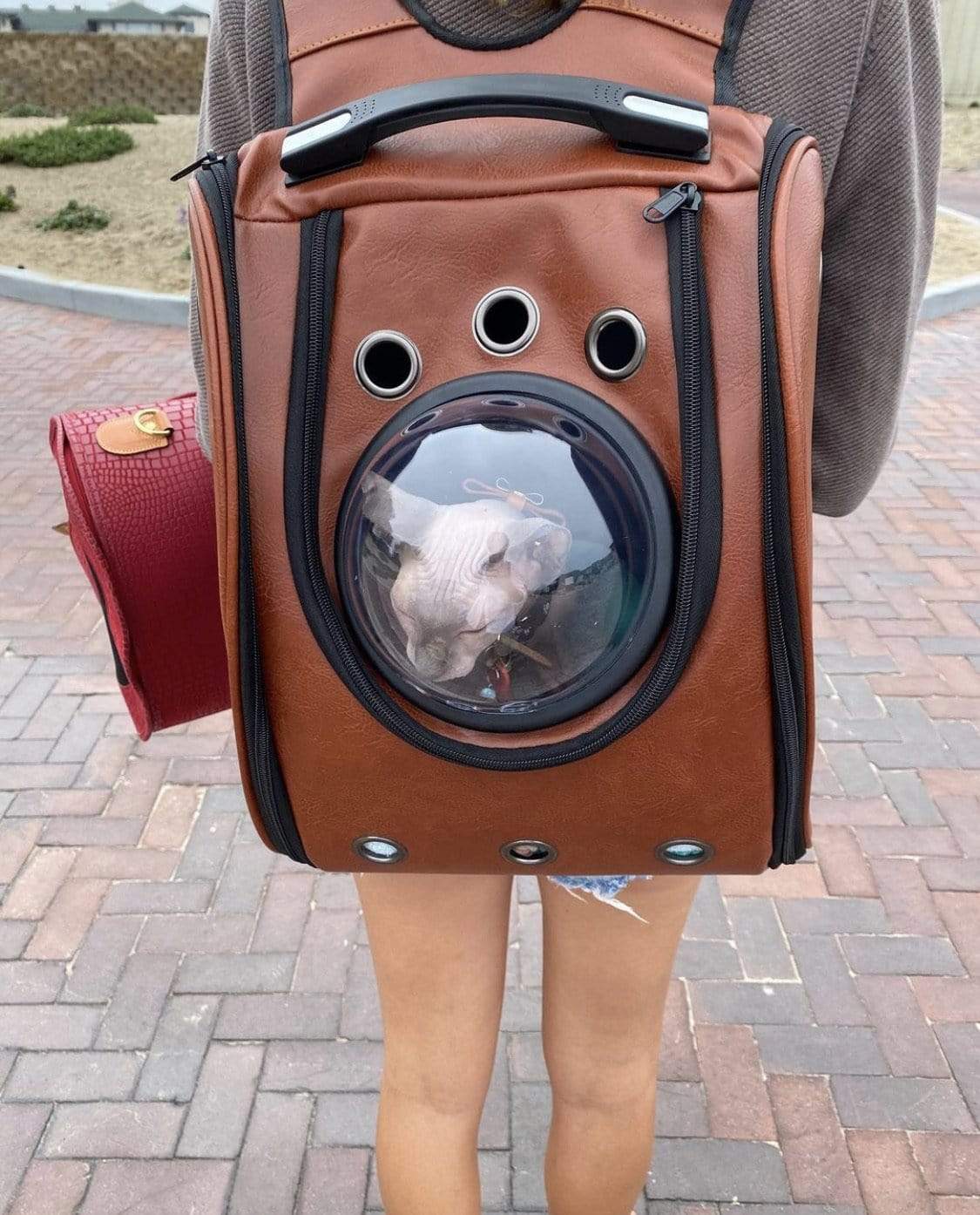 "The City Chic" Cat Backpack