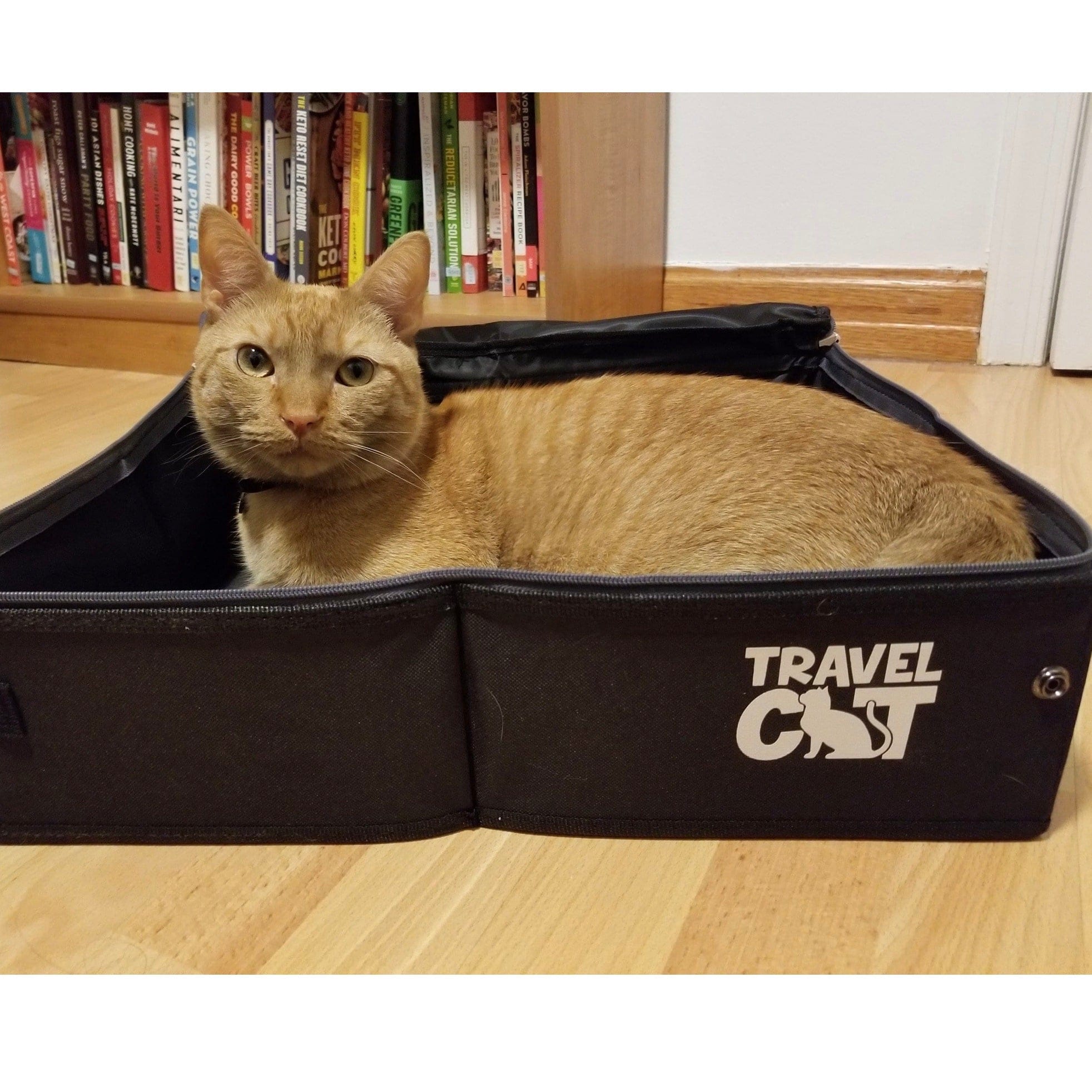 "The Porta-Pawty" Travel Litter Box - Portable Bathroom for Cats