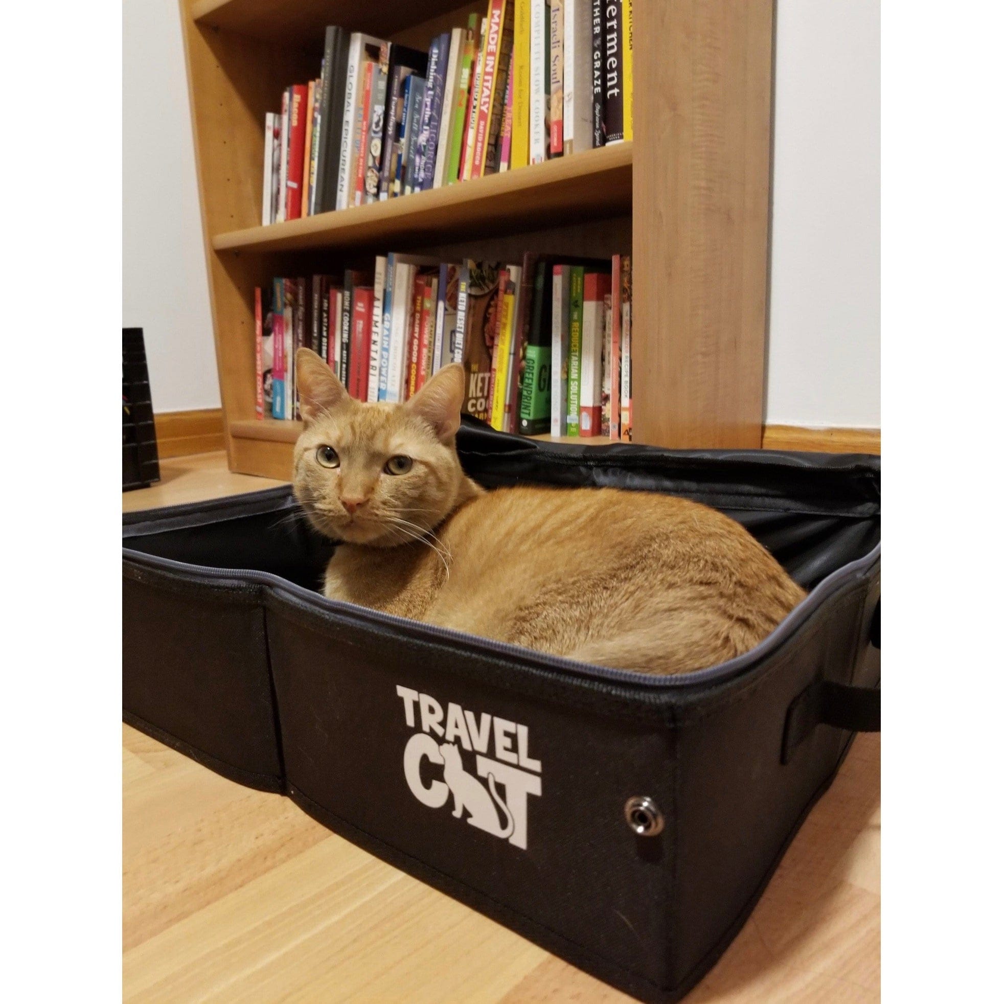 Cat travel box with litter outlet tray