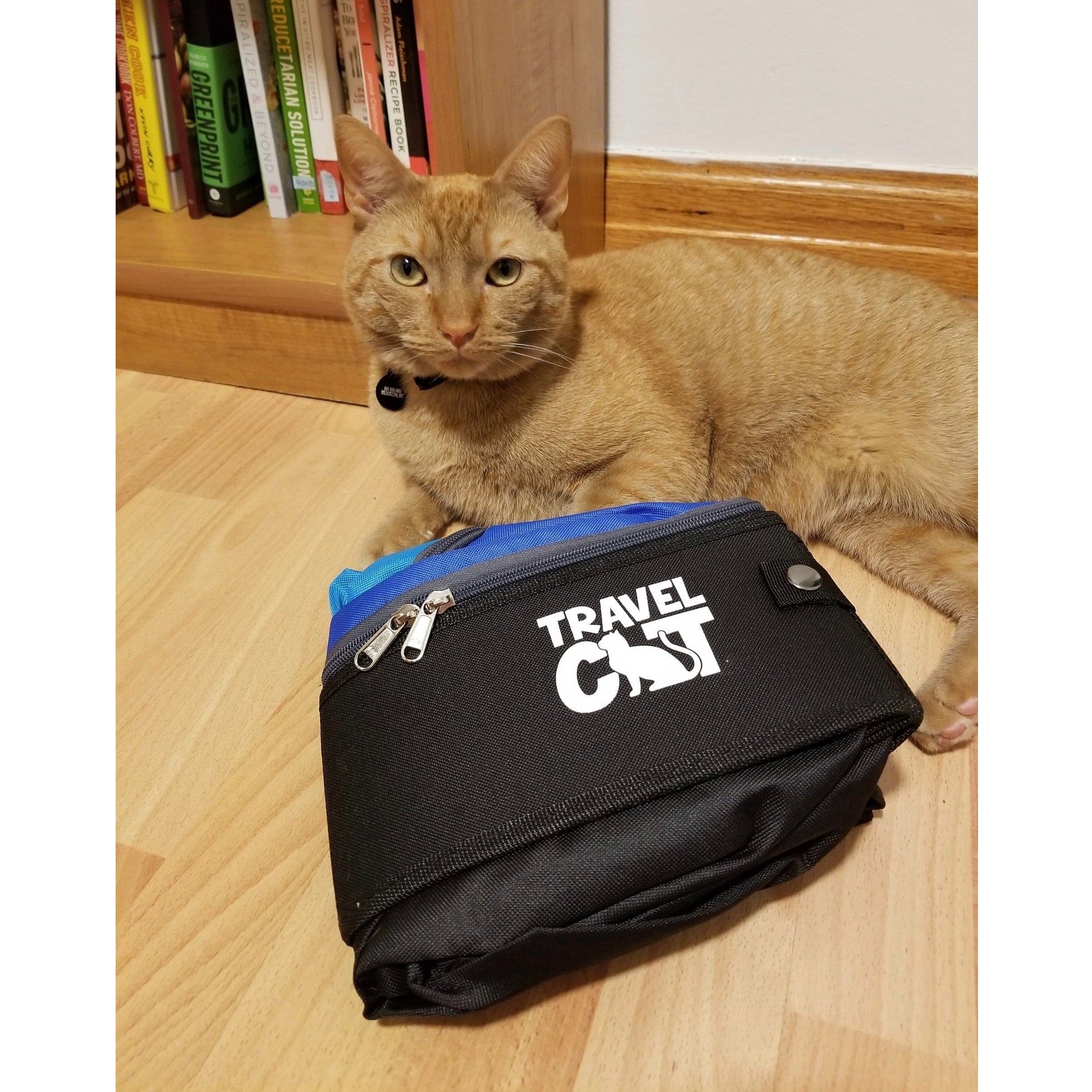 "The Porta-Pawty" Travel Litter Box - Portable Bathroom for Cats