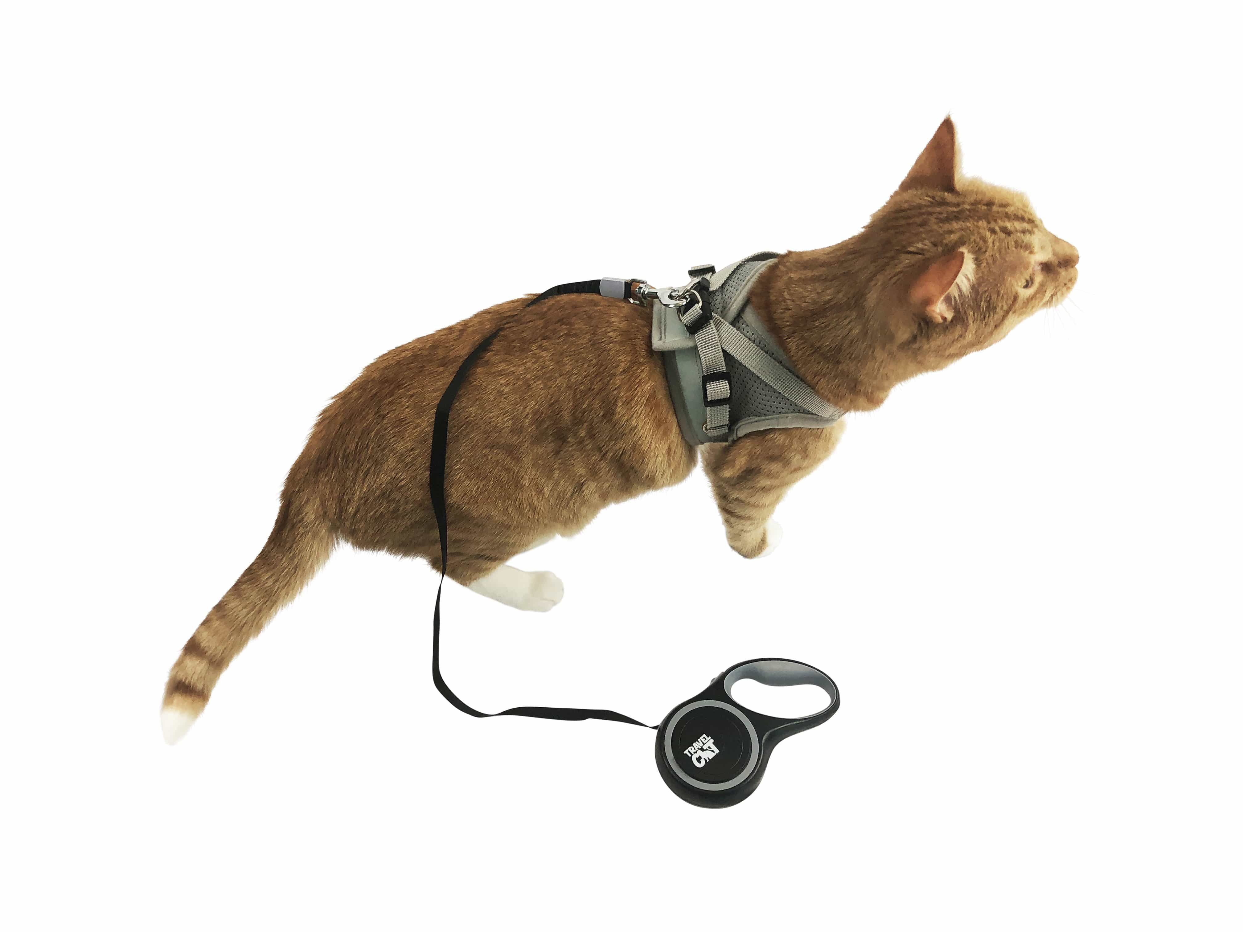 The Captain Retractable Leash for Cats