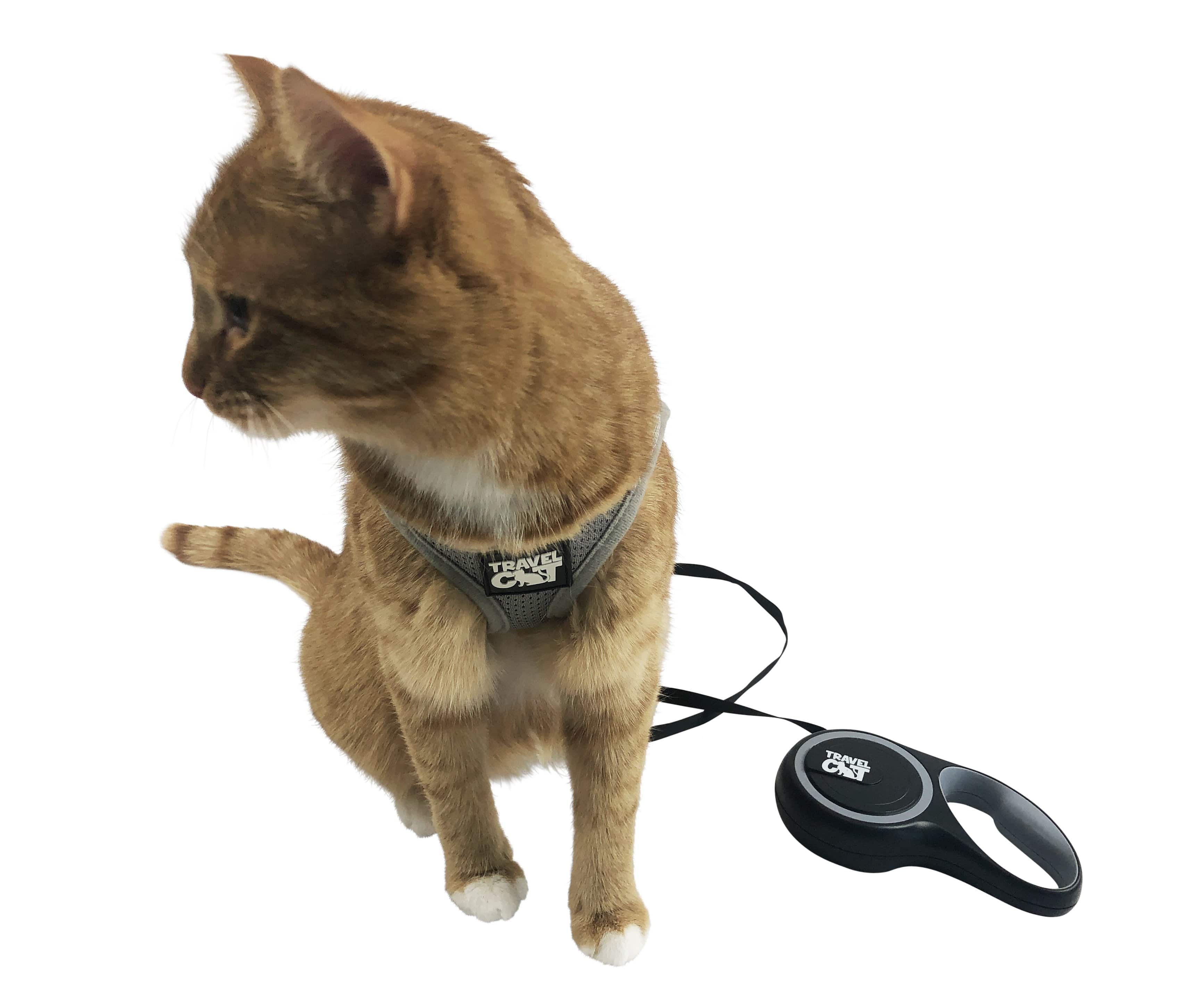 "The Captain" Retractable Leash for Cats