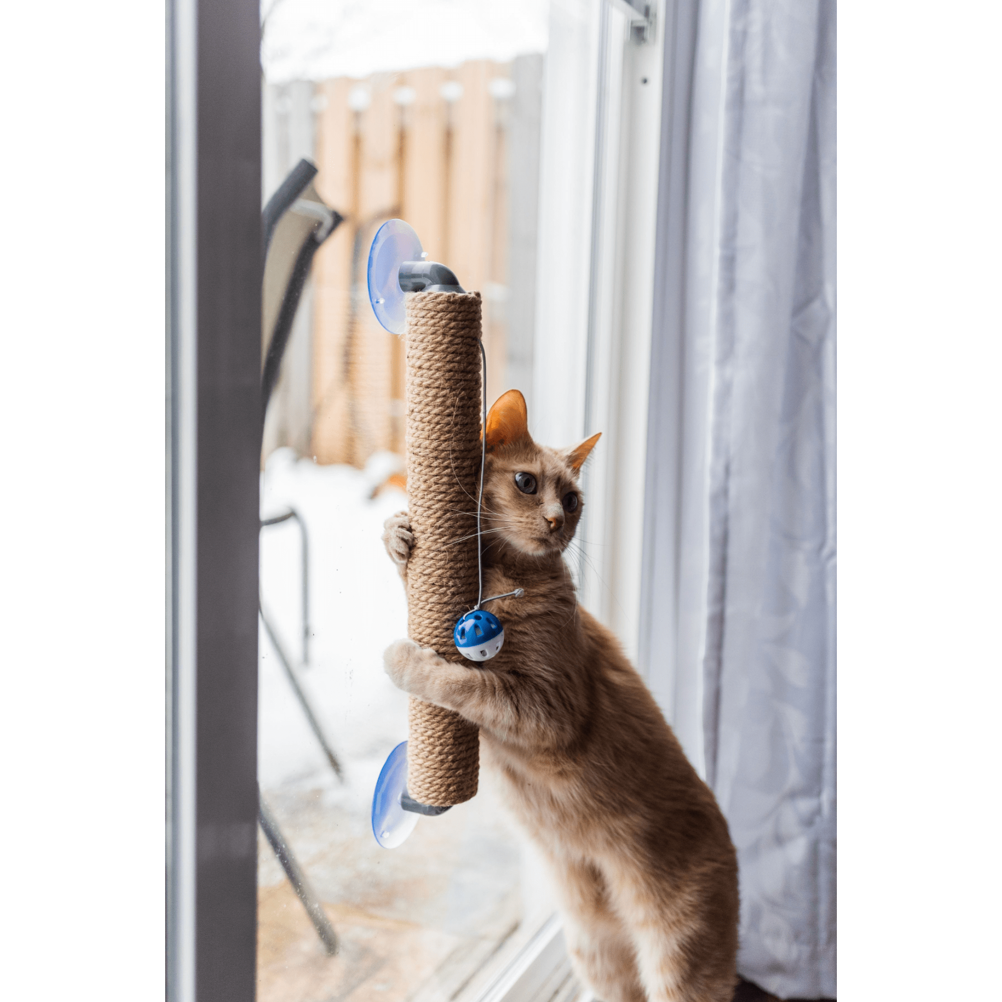 "The Window Wall Post" Travel Cat Scratcher