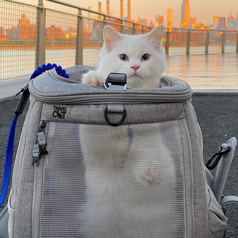 18 Best Cat Backpacks for Traveling Cats in 2022: Pet Carrier