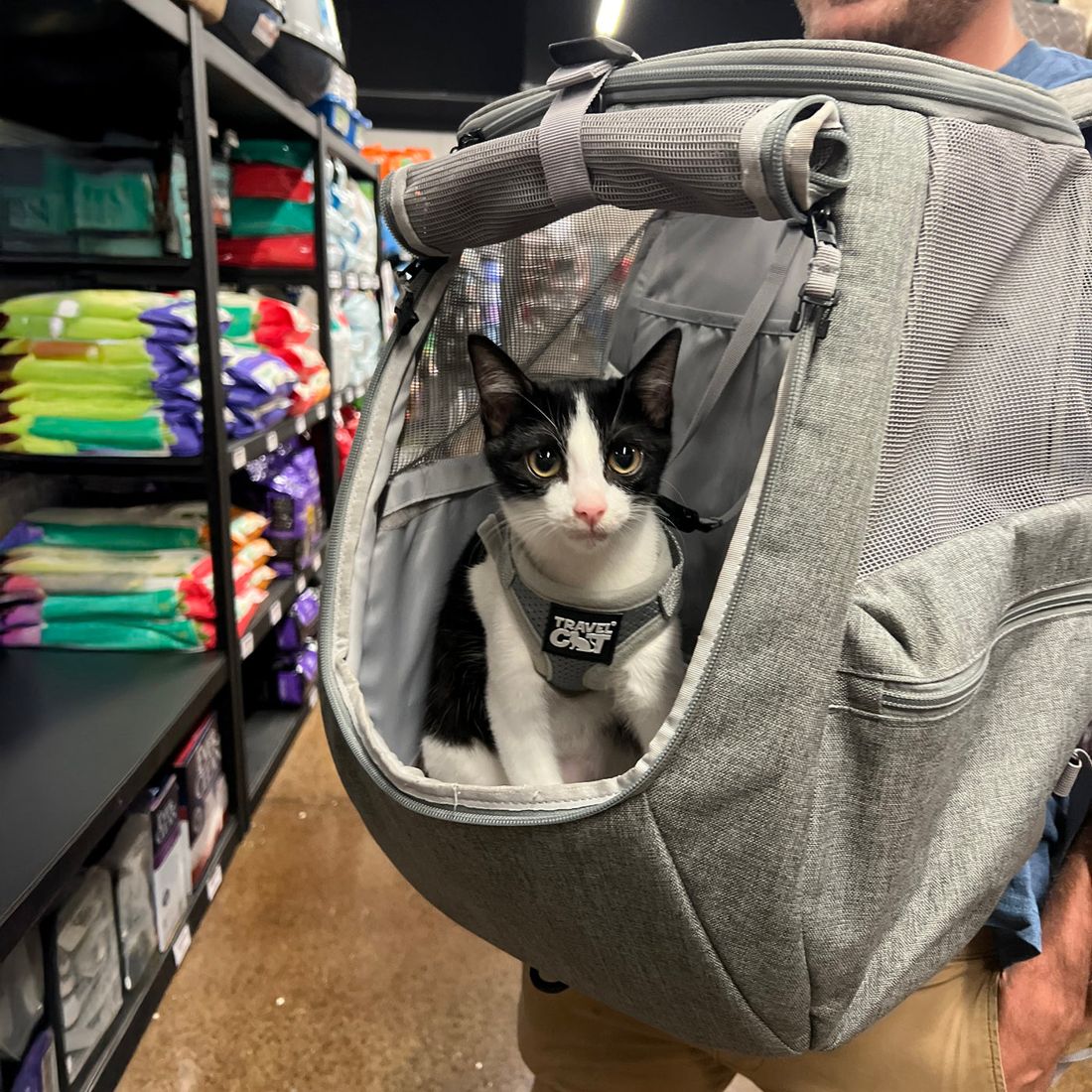 PET STORE RUNS